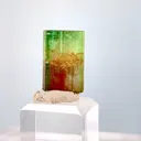 specimen video