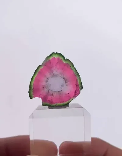 specimen video