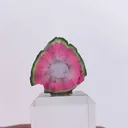 specimen video