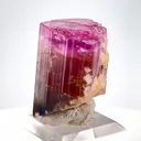 Tourmaline from Afghanistan - image 7