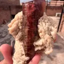 specimen video