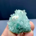 specimen video