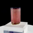 specimen video