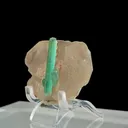 specimen video