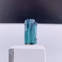specimen video