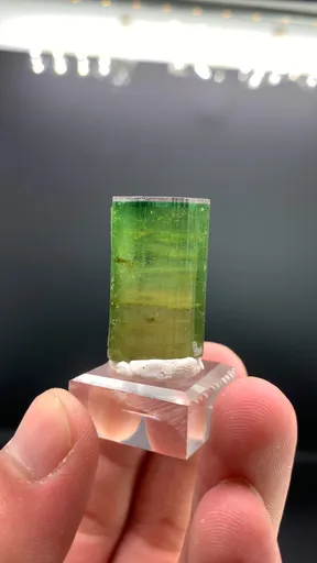 specimen video