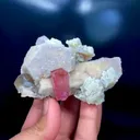 specimen video