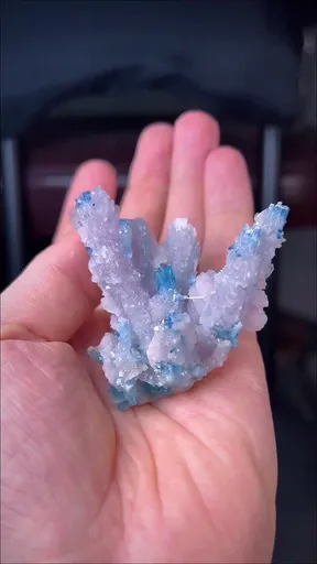 specimen video