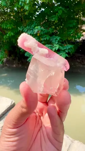 specimen video