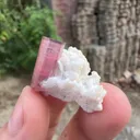 Tourmaline from Afghanistan - image 3