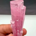 specimen video