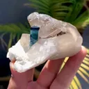 specimen video