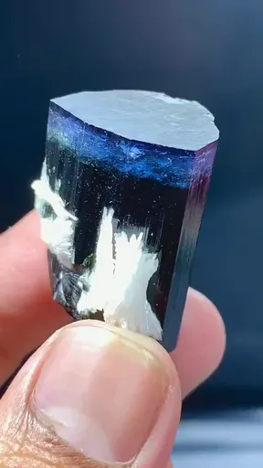 specimen video