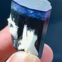 specimen video