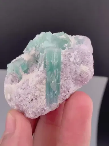 specimen video