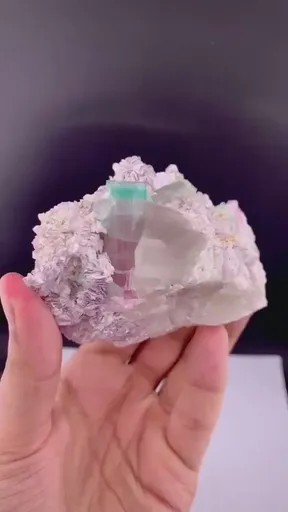 specimen video