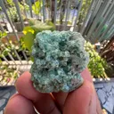 Tourmaline from Afghanistan - image 3