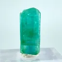 specimen video