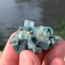 specimen video
