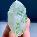 specimen video