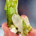 Tourmaline from Afghanistan - image 7