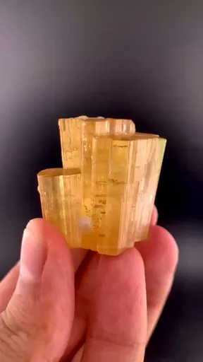 specimen video