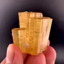 specimen video