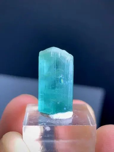 specimen video