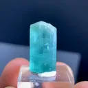 specimen video