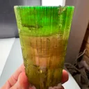 specimen video