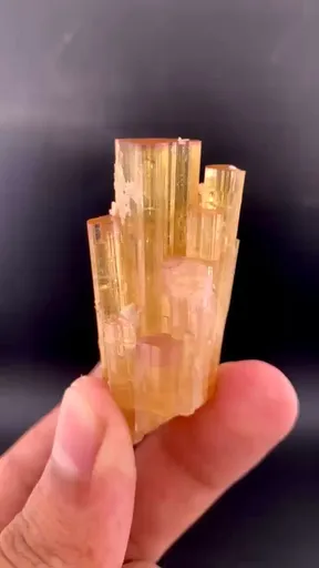 specimen video