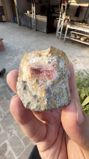 specimen video