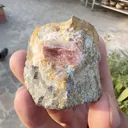 specimen video