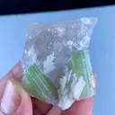 specimen video