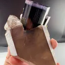 specimen video