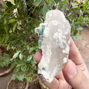 specimen video