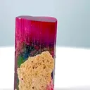specimen video