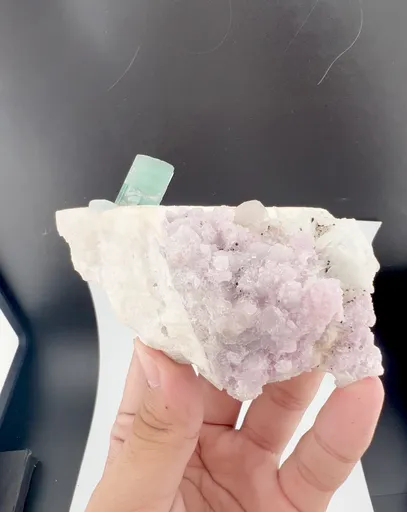 specimen video