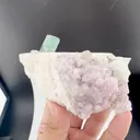specimen video