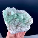 specimen video