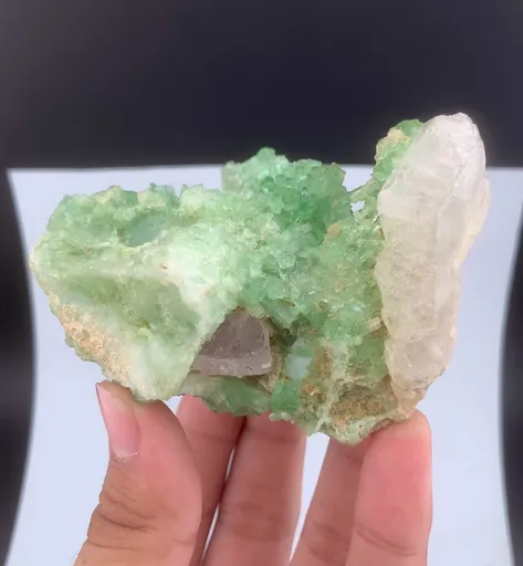 specimen video