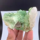 specimen video