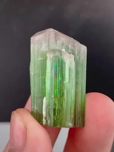 specimen video