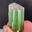 specimen video