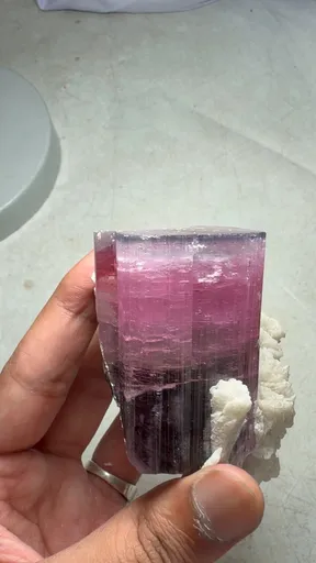 specimen video
