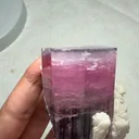 specimen video