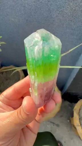 specimen video