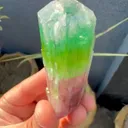 specimen video