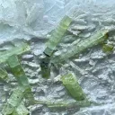 Tourmaline from Afghanistan - image 4
