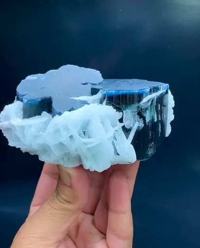specimen video